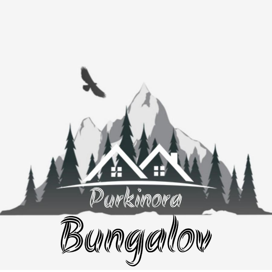 Purkinora Bungalov Çamlıhemşin Eksteriør bilde