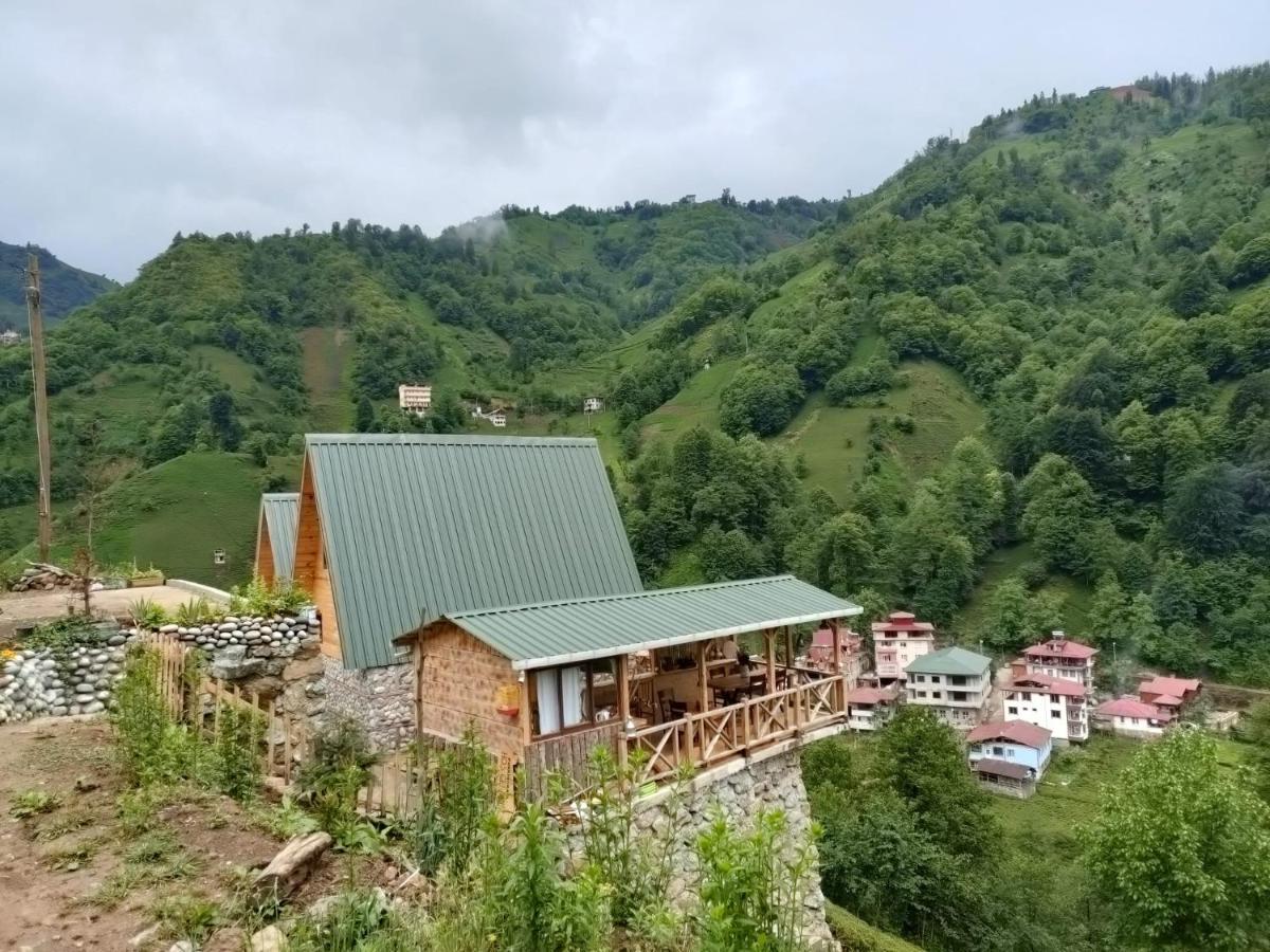 Purkinora Bungalov Çamlıhemşin Eksteriør bilde