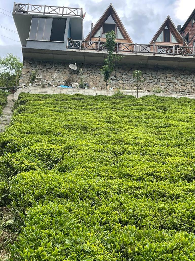 Purkinora Bungalov Çamlıhemşin Eksteriør bilde